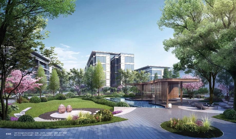 图片13 图片13
